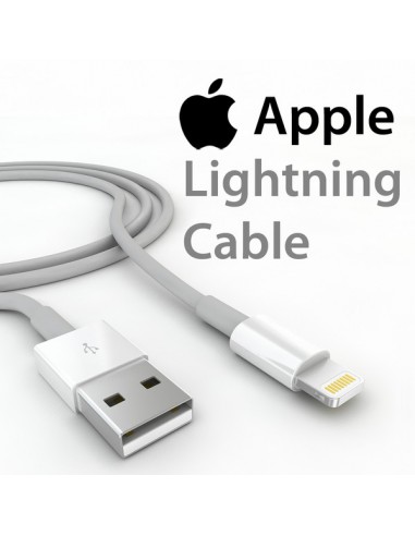 Cable Apple Lightning USB Original